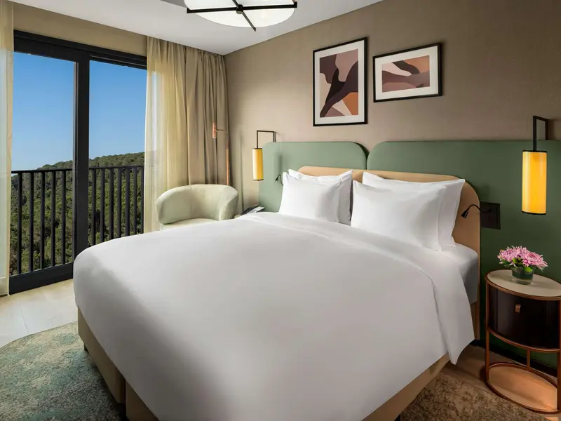 Deluxe bir yatak odalı daire: balkon ve orman manzarası